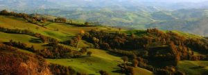 Val Porco