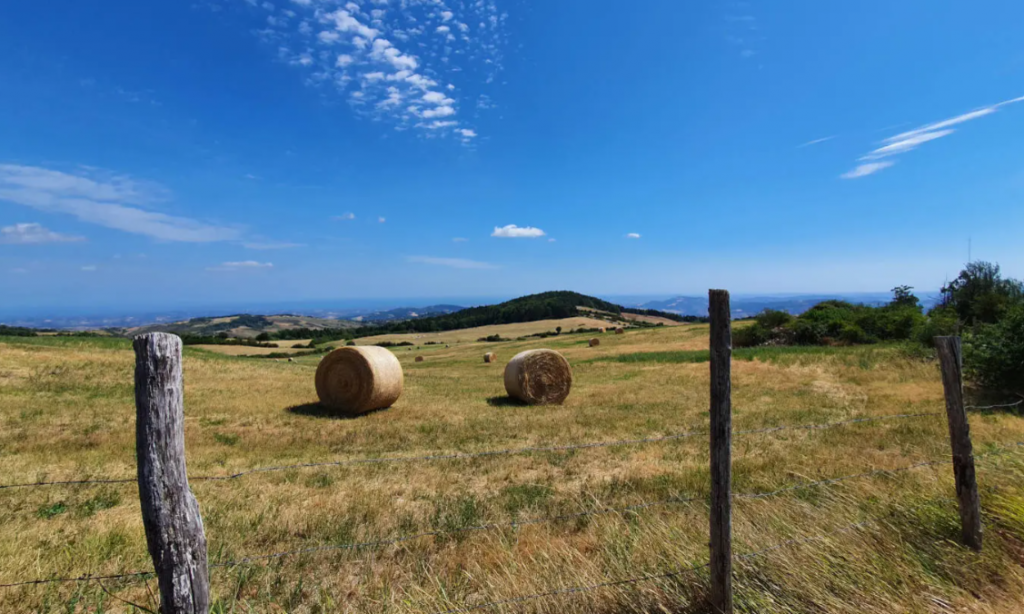 Programma settimanale 13-19 giugno